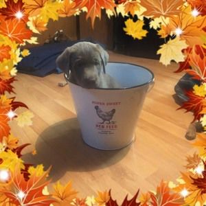 Meet your Posher, Katherine